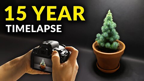 I Filmed Plants For 15 years | Time-lapse Compilation