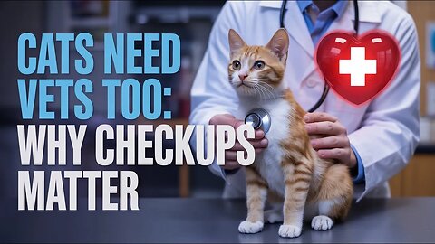 Cats Need Vets Too: Why Checkups Matter #cathealth #vetcare #cattips #petwellness #catlovers