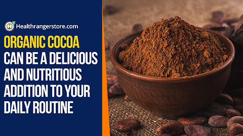 Organic Cocoa can be a delicious and nutritious addition to your daily routine