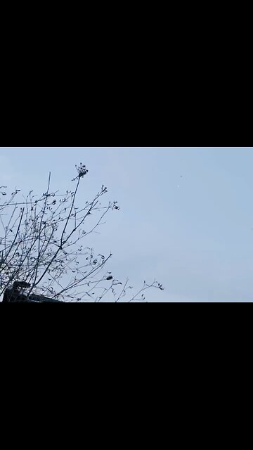 🇷🇺 🏹 ⚡️ This is how to defeat drones #7⚡️