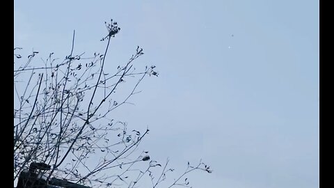 🇷🇺 🏹 ⚡️ This is how to defeat drones #7⚡️