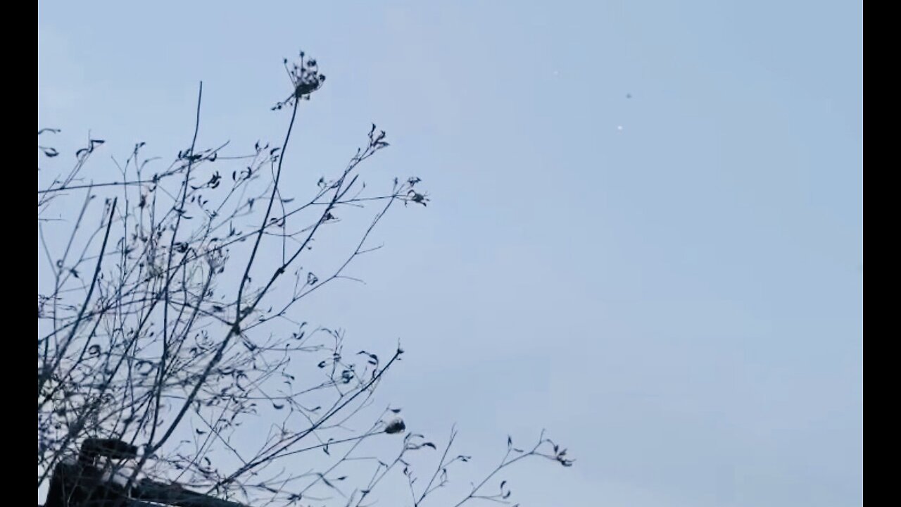 🇷🇺 🏹 ⚡️ This is how to defeat drones #7⚡️