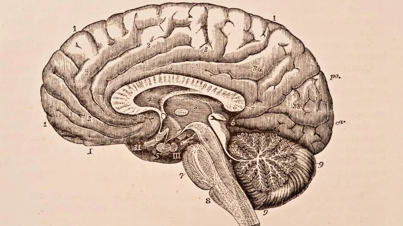 You do NOT get wise with age [sVZ2d0wAx58]