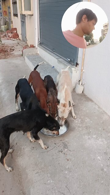 jivdaya mehsana Gujarat