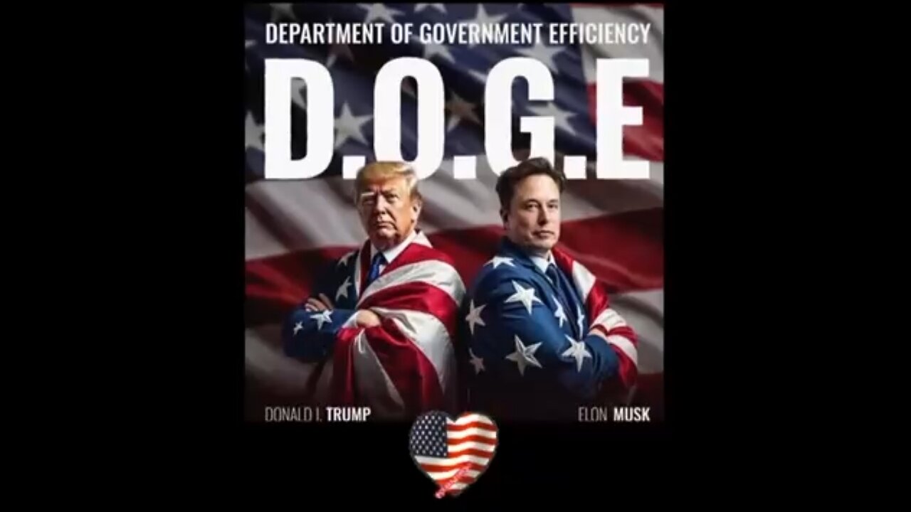 UNDERSTANSING D.O.G.E.