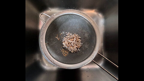 STOP Before You Cook! How to Properly Wash Your Grains For Cooking🧼🍚 Rice, Bulgur, Quinoa, Couscous