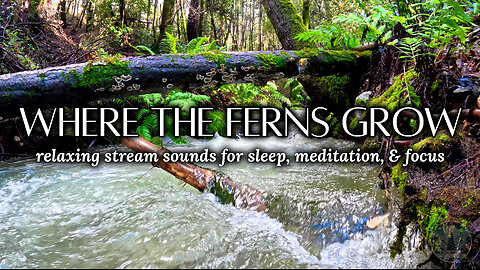 Trickling Forest Stream | Peaceful Nature Sounds & Music for Deep Sleep, Meditation & Relaxation