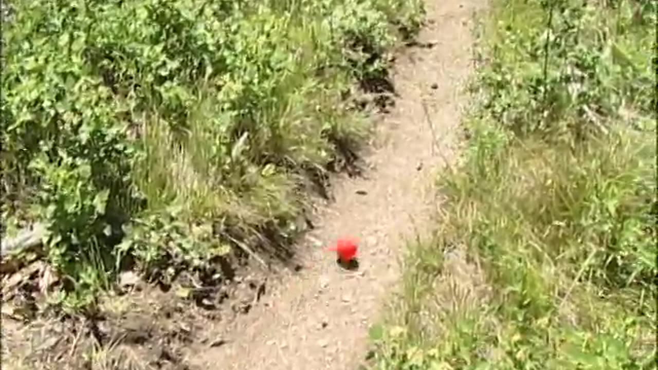 Building Mountain Bike Trails - Building Mountain Bike Trails - gov.usda.fs.mtdc.0623-2d01-mtdc