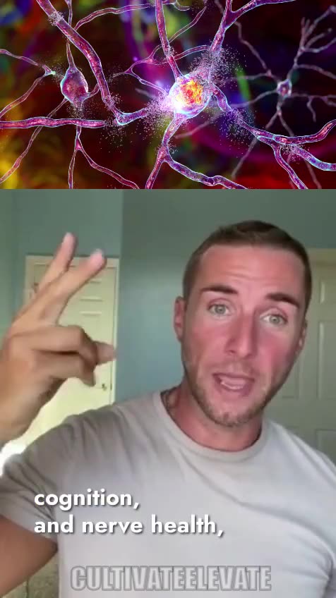 Lions mane counters Wi-Fi Frequencies impacting the brain