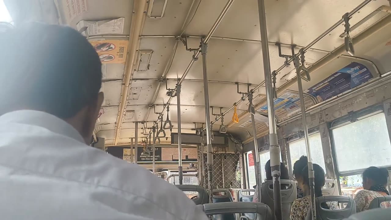 🤯🚌 You Won't Believe How A Tiny Bird Lands On This Moving Bus! | FeedMyCuriosity