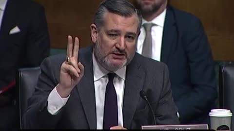 TED CRUZ responds to Democrats about the alleged politicization of the FBI and Justice