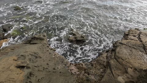 Hangout WAVES REEF View by Bird Rock #chill #relaxation #lounge