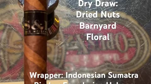 Black Works Studio S & R (The Serpent & The Rainbow) 5x50 Robusto #Short #Shorts #CigarOfTheDay