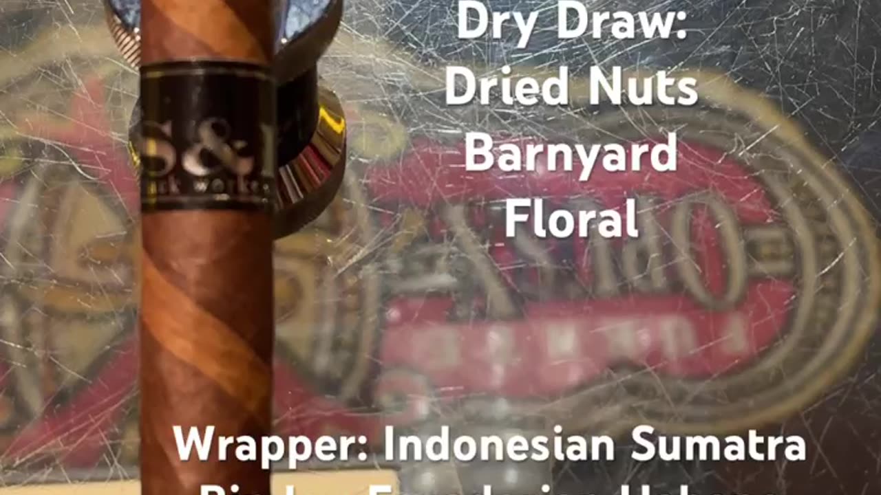 Black Works Studio S & R (The Serpent & The Rainbow) 5x50 Robusto #Short #Shorts #CigarOfTheDay