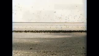 Texel’s Hidden Gem: Wadden Island in 1943 in Vibrant Color!