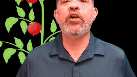 The human spirit needs to mature / WWY #shorts S119