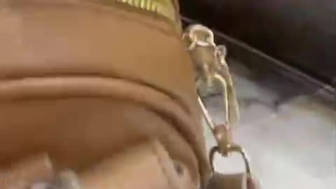 Elegant Mint Green Handbag | Luxury Women’s Bag with Gold Hardware | Trending Fashion 2026