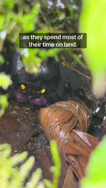 Something Seems Off!