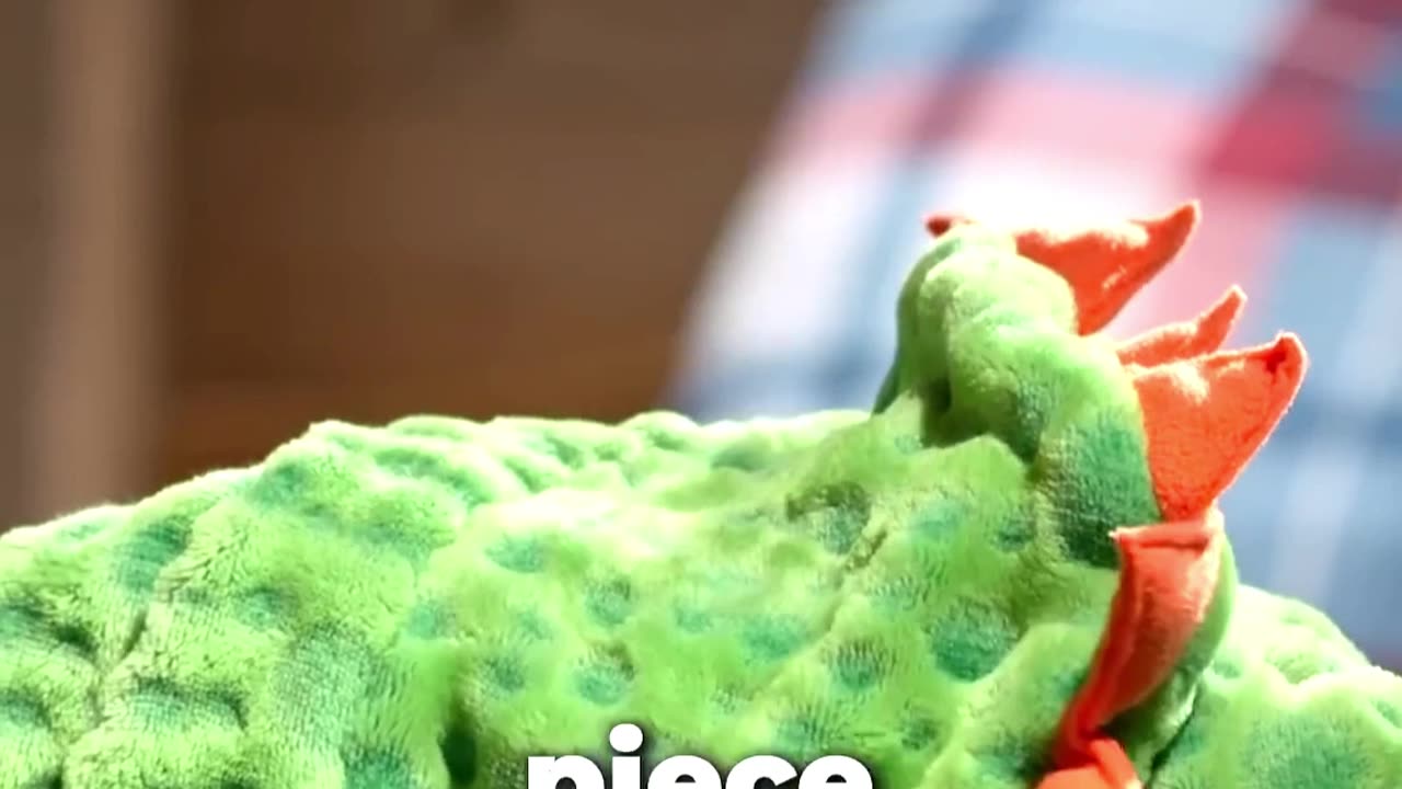 The growth adventure of the little yellow duck!