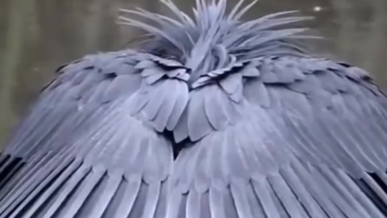 Fun