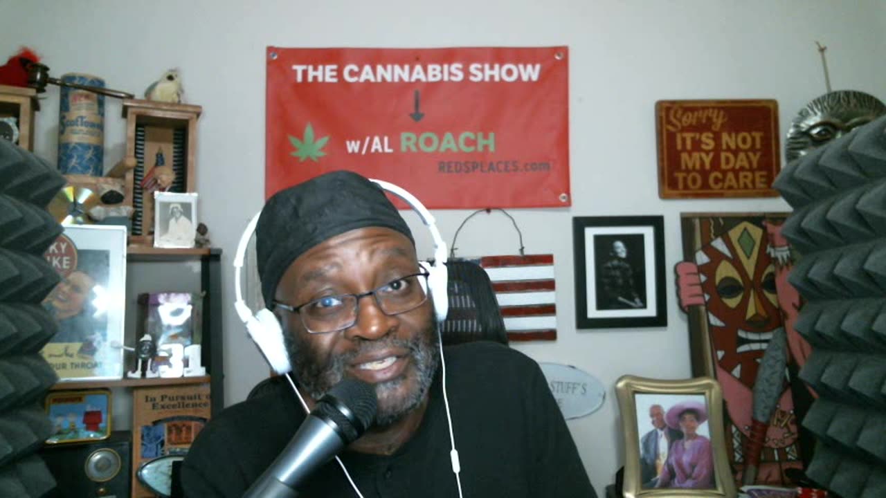 The Cannabis Show 3/06/25