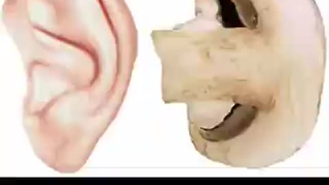 God gave us everything we need