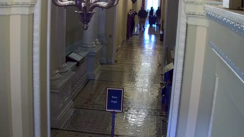 0305USCS03SenateGalleryWestnearS324_2021-01-06_12h00min00s827ms.mp4