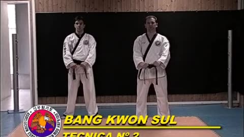 Sin Moo Hapkido