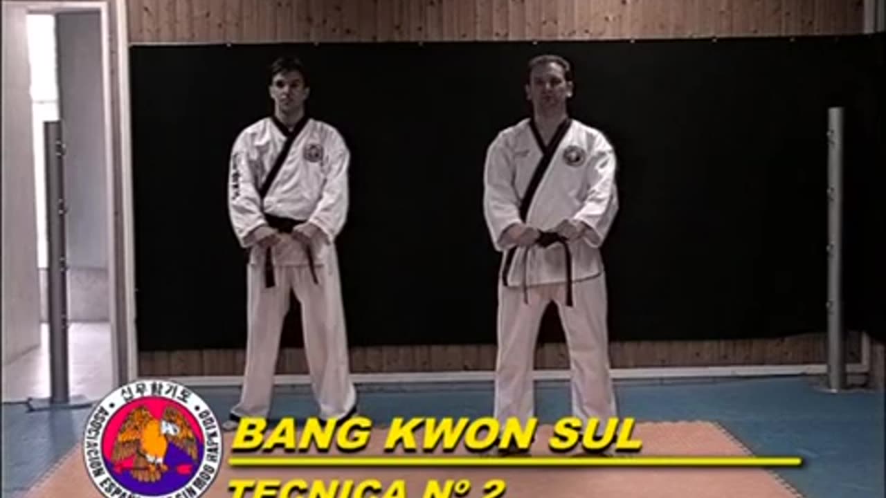 Sin Moo Hapkido