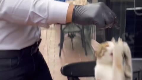 Heart of a Leader, Soul of an Animal Lover