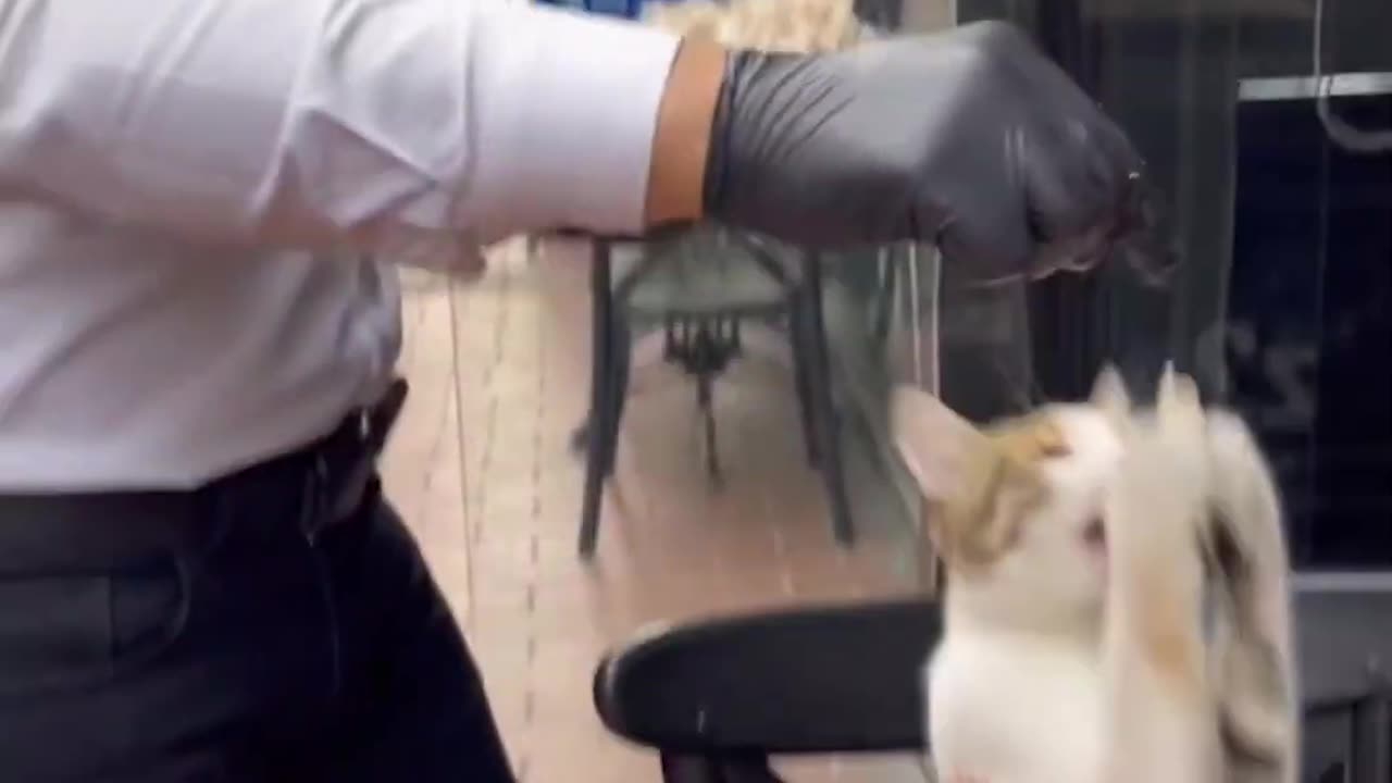 Heart of a Leader, Soul of an Animal Lover