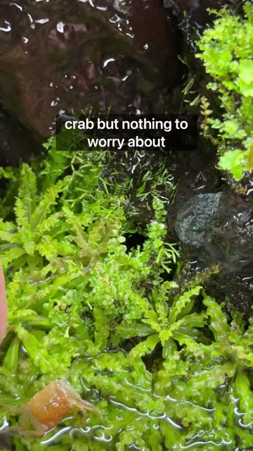 One Year Old Ecosystem!