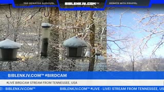 BIBLENKJV.COM™ 12/12/2025 #LIVE #BIRDCAM #WEATHER