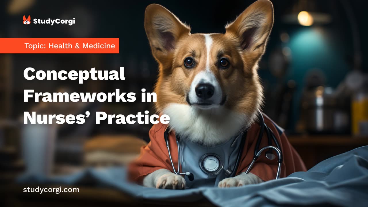 Conceptual Frameworks in Nurses’ Practice - Research Paper Example