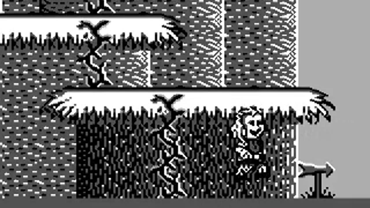 Game Boy Longplay - Beetlejuice - EN-NA