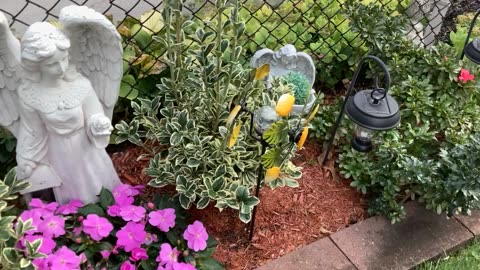 Flower garden