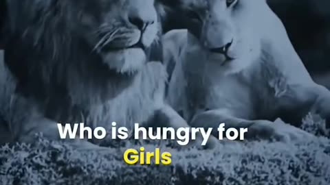 Is hungry for success