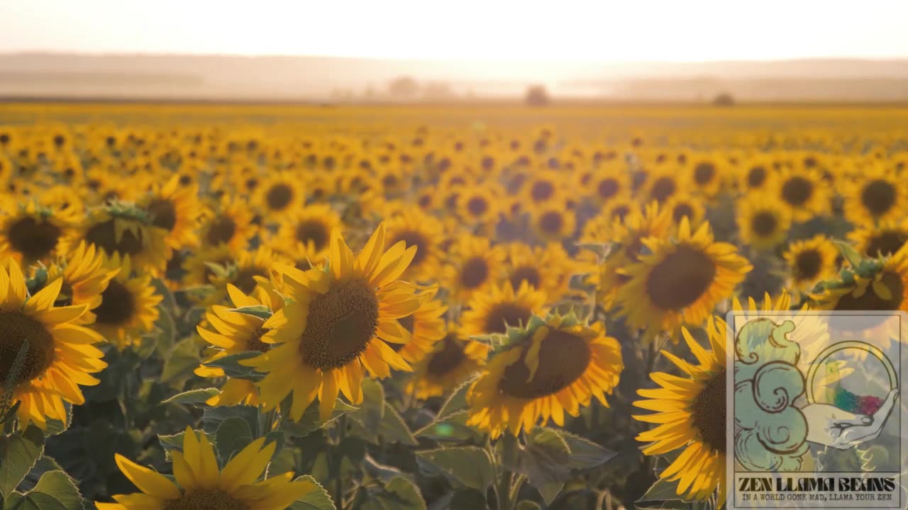 Weekly Energy Vibes Feb 3-9, 2025