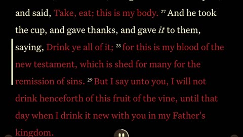 Matthew and Mark auto read Bible