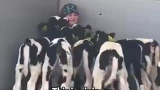 Woe Day 76. I am in the ark. Waiting for GOD to open the Door for a spring/summer Pentecost rapture