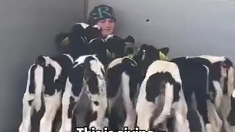 Woe Day 76. I am in the ark. Waiting for GOD to open the Door for a spring/summer Pentecost rapture