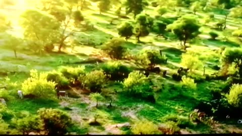 How it's a Full Wildlife Documentary: Elephant Vs Lion
