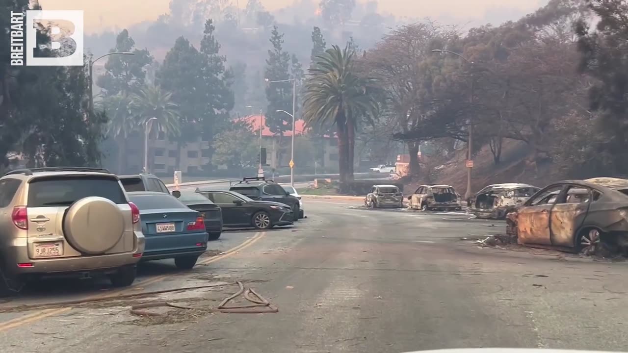 Cars Abandoned, Bulldozed, Burned in Pacific Palisades🔥