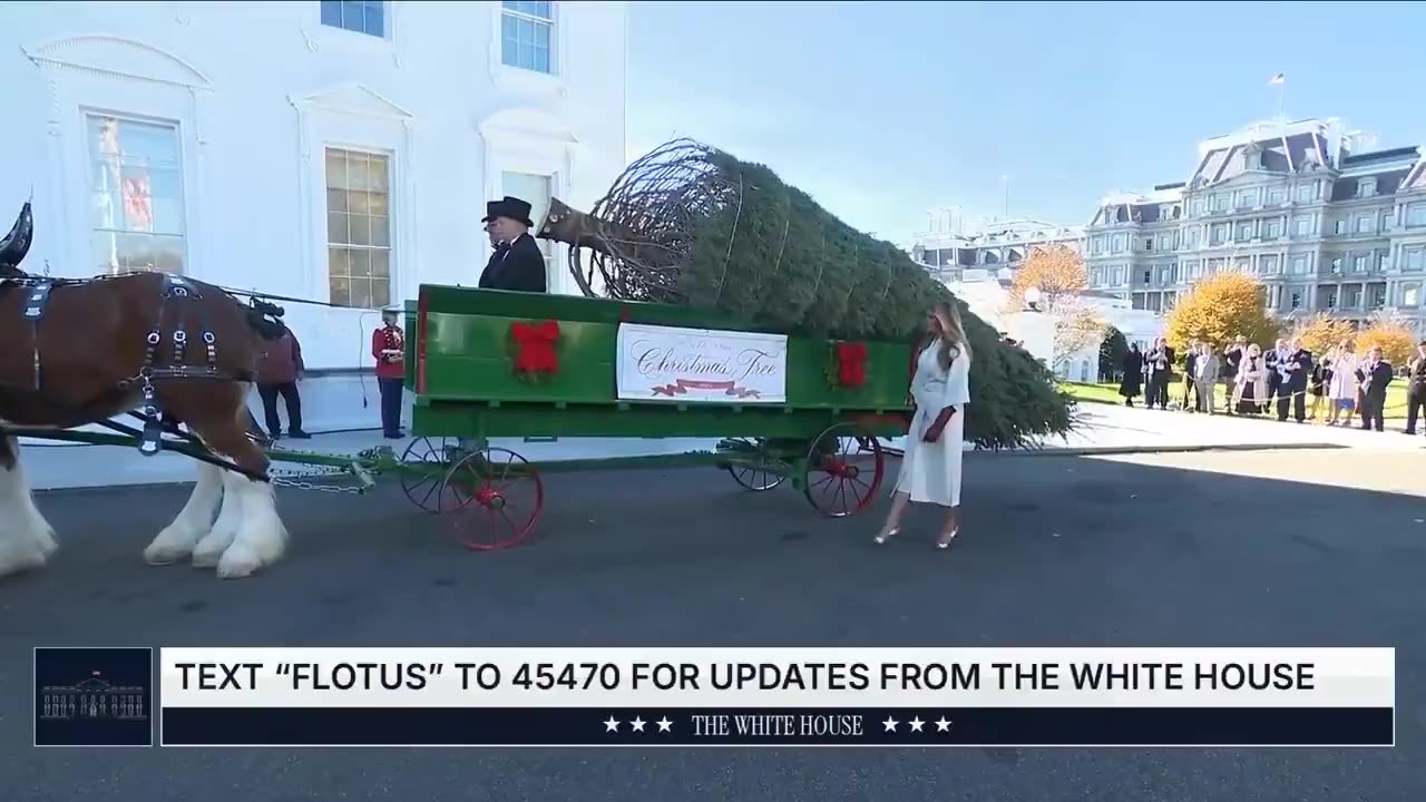 🎄FLOTUS receives the 2025 White House Christmas Tree