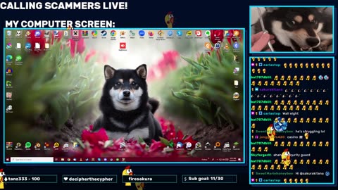 Scammers VS ElysiaOS