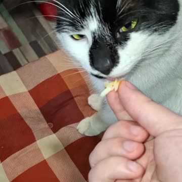 Creamiest Freakiest Pasta recipe in town 🍝