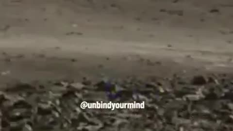 It looks like Mars is in Greenland after all!