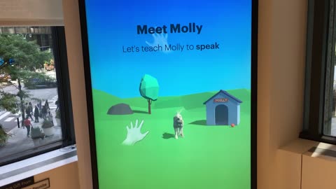 AKC Museum of the Dog 1 (Manhattan, 2019)