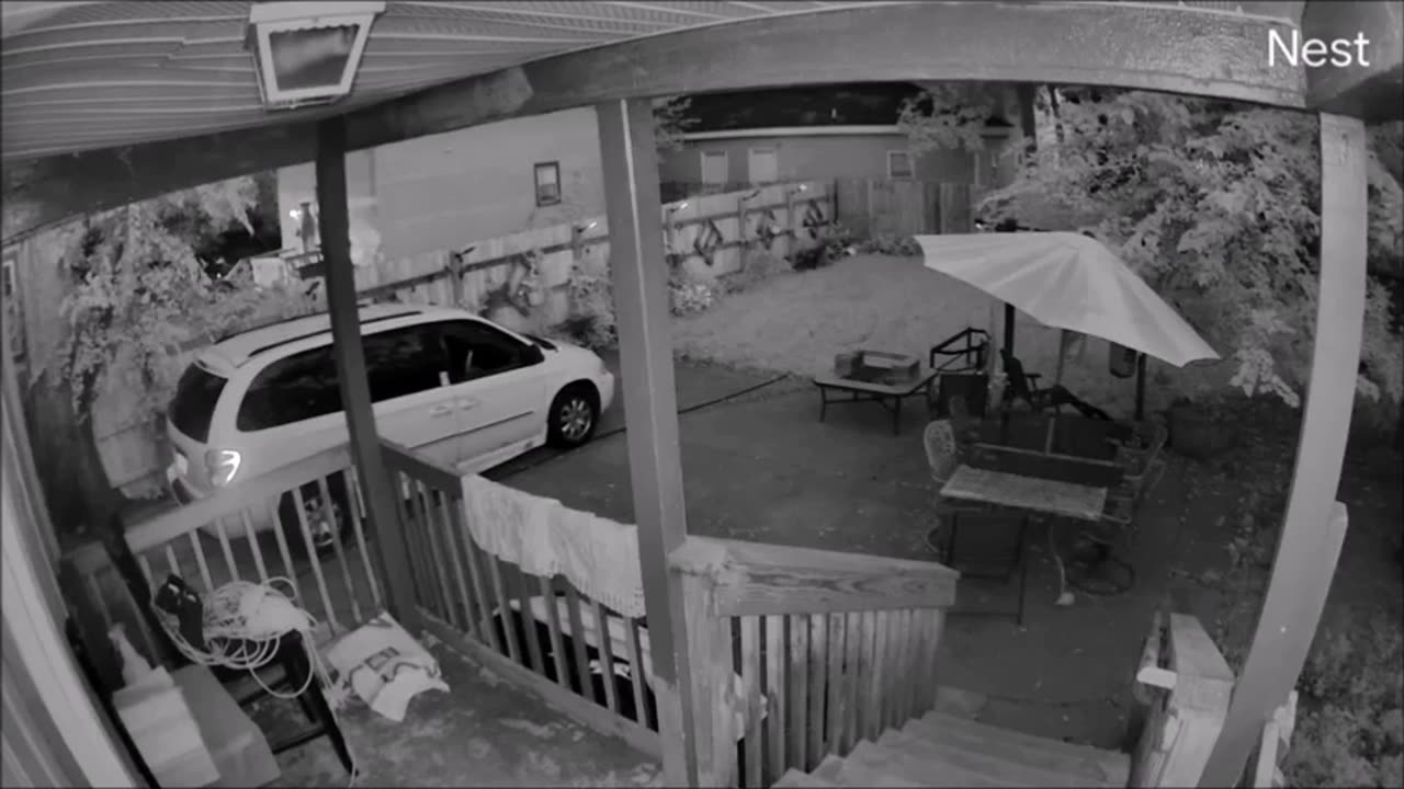 Quelqu'un peut-il expliquer ce qui a été capturé par cette caméra Nest