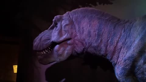 Rex Robot